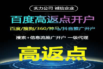 百度竞价排名案例分析：提升网站流量与转化率